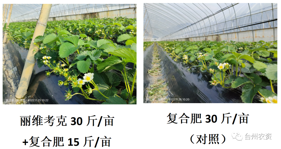 1675647324611911.png 640 (19).png