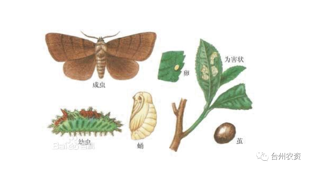 1675662195952680.png 640 (33).png